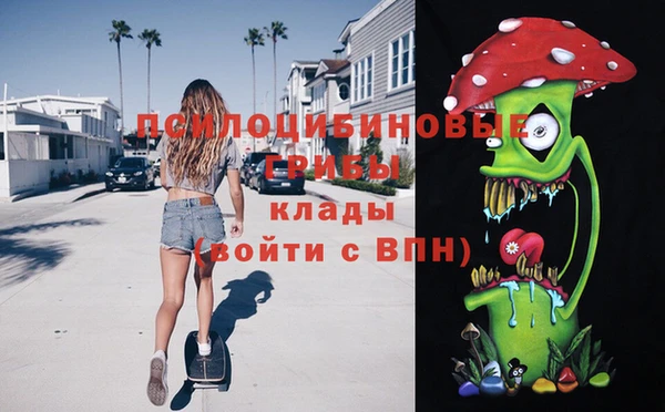 соль ск Алексин