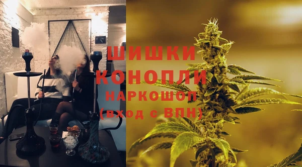 соль ск Алексин