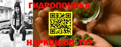 ПСИЛОЦИБИНОВЫЕ ГРИБЫ Первоуральск